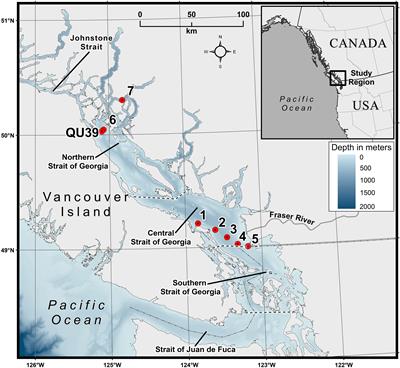 Seasonal dynamics of major phytoplankton functional types in the coastal waters of the west coast of Canada derived from OLCI Sentinel 3A